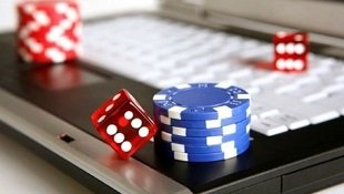 Privacy and account safety tips shown with cv333 animal game browsing